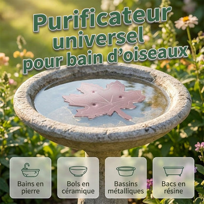 Purificateur universel pour bain d’oiseaux en forme de feuille d’érable
