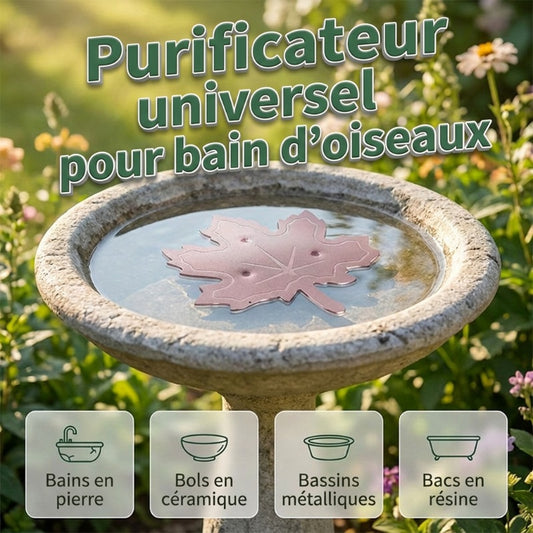 Purificateur universel pour bain d’oiseaux en forme de feuille d’érable