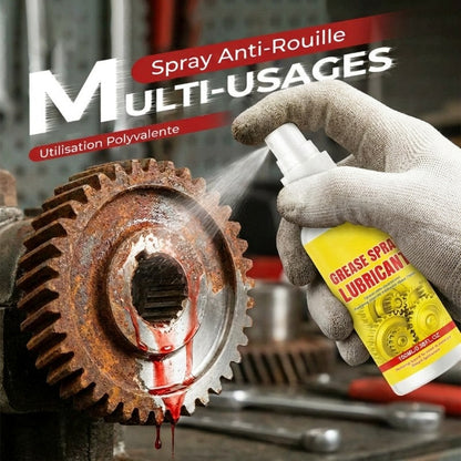 Spray Détachant Rouille Multi-Usages