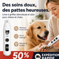 🔥🎁 2+1 GRATUIT !!🥳 💞 Plus de 50 000 vendus ! ⚡🐾 Lime à ongles électrique pour chiens et chats avec indicateur de batterie LED, limage doux des ongles