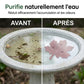 Purificateur universel pour bain d’oiseaux en forme de feuille d’érable