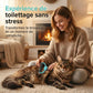 Peigne de toilettage double face pour chiens et chats