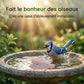 Purificateur universel pour bain d’oiseaux en forme de feuille d’érable