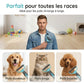 Peigne de toilettage double face pour chiens et chats