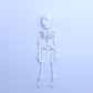 Figurine magnétique squelette vintage imprimée en 3D🎃