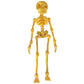 Figurine magnétique squelette vintage imprimée en 3D🎃