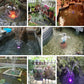 Pompe à fontaine avec lumières LED colorées