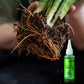 Solution Nutritive à Action Rapide pour Plantes