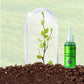 Solution Nutritive à Action Rapide pour Plantes