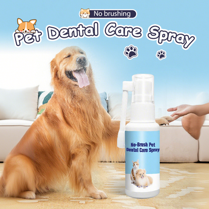 Spray dentaire sans brosse pour animaux de compagnie