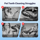 Spray dentaire sans brosse pour animaux de compagnie