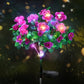 💐50% DE RÉDUCTION! ☀️ Lumière Solaire sur Piquet de Fleur d'Azalée de Simulation – Étanche, Automatique & Parfaite pour le Jardin 🏡
