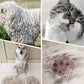 Brosse de toilettage double face pour animaux