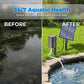 ☀️🐟 PROMO FLASH 50% ! Aérateur Solaire pour Bassin avec Pompe à Air – 7V/2.5W, Kit Complet, Installation Facile, Santé Aquatique 24/7 ✨