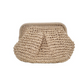📢📢50 % DE RÉDUCTION !! ⏰Sac à Main Tressé en Paille pour Femme