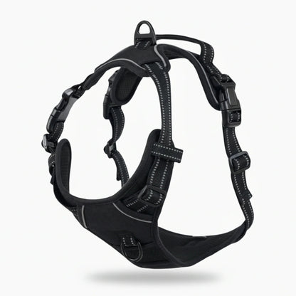 Harnais anti-traction à FELSTERN™