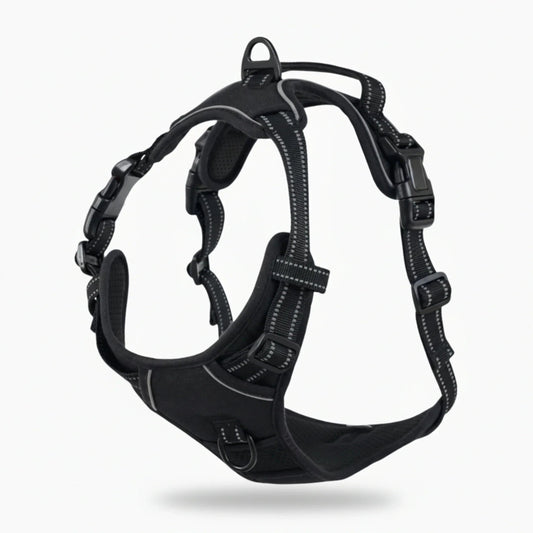 Harnais anti-traction à FELSTERN™