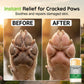 🐶 Crème hydratante pour les pattes de votre animal — un soin pratique pour rendre les pattes de votre compagnon douces et lisses