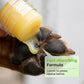 🐶 Crème hydratante pour les pattes de votre animal — un soin pratique pour rendre les pattes de votre compagnon douces et lisses