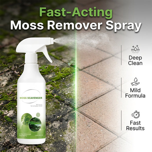 Spray anti-mousse et anti-algues pour extérieur