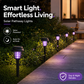 ☀️Lampe solaire anti-moustiques ✨ – Lampe de jardin avec piquet, tue-moustiques UV et éclairage de chemin🦟🚫