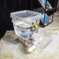Distributeur d'eau pour animaux de compagnie avec grande capacité