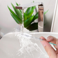 Outil de nettoyage pour conduit de toit ouvrant automobile – Brosse flexible pour tuyau