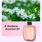 🌬️🌸 -60% ! 🏡Diffuseur d'Aromathérapie Automatique – Silencieux, Diffusion Régulière & Ambiance Parfumée.