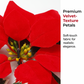 🔥 50% DE RÉDUCTION ! ✨Guirlande lumineuse de Noël avec des poinsettias