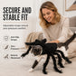 Déguisement d'araignée effrayant pour animaux de compagnie (chien ou chat) - Combinaison transformable en peluche