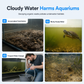 Collecteur de déjections pour aquarium et nettoyeur de déchets