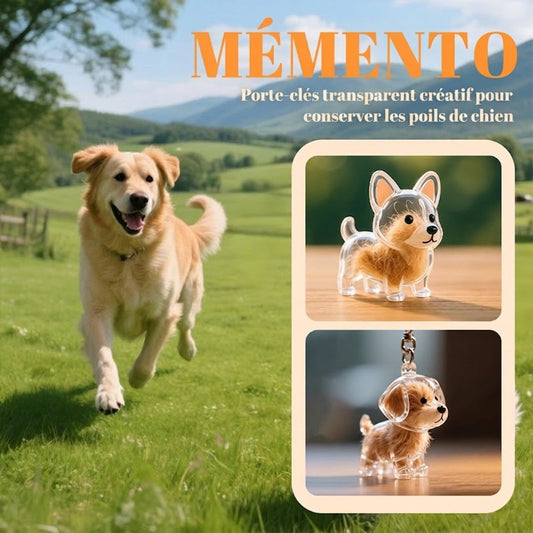 Porte-clés souvenir transparent créatif pour poils de chien