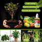 Supplément d'amélioration de la croissance des plantes