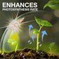 Supplément d'amélioration de la croissance des plantes